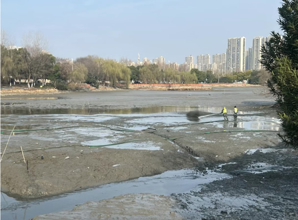 西洋湖“新生”，芜湖城建绘生态新卷
